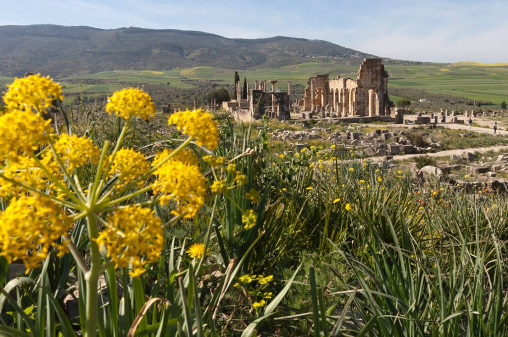 Volubilis, Morocco, Ancient World Tours