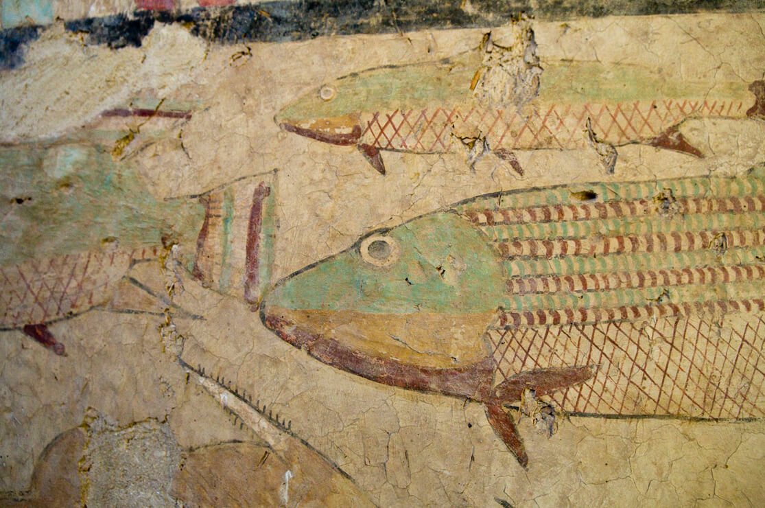 Tomb of Ankhtify, Mo’alla