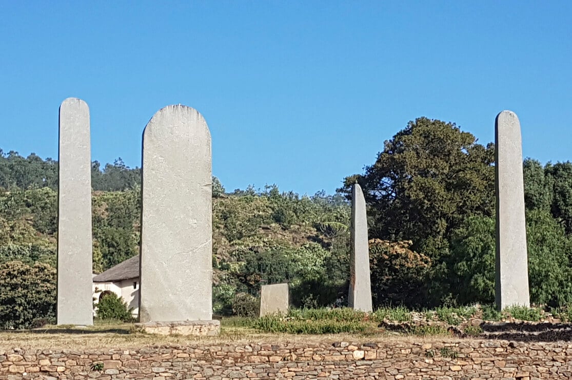 Axum Stelae Field