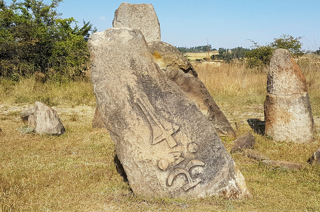 Tiya Stelae Field