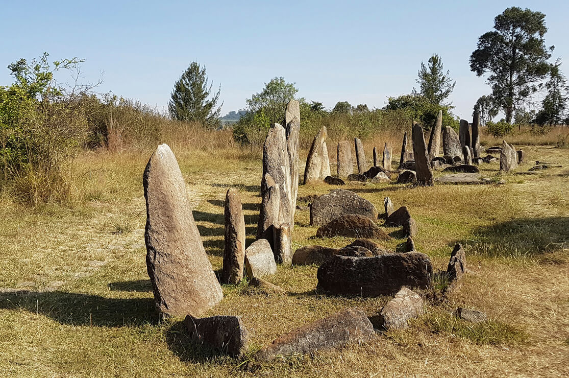 Tiya Stelae Field