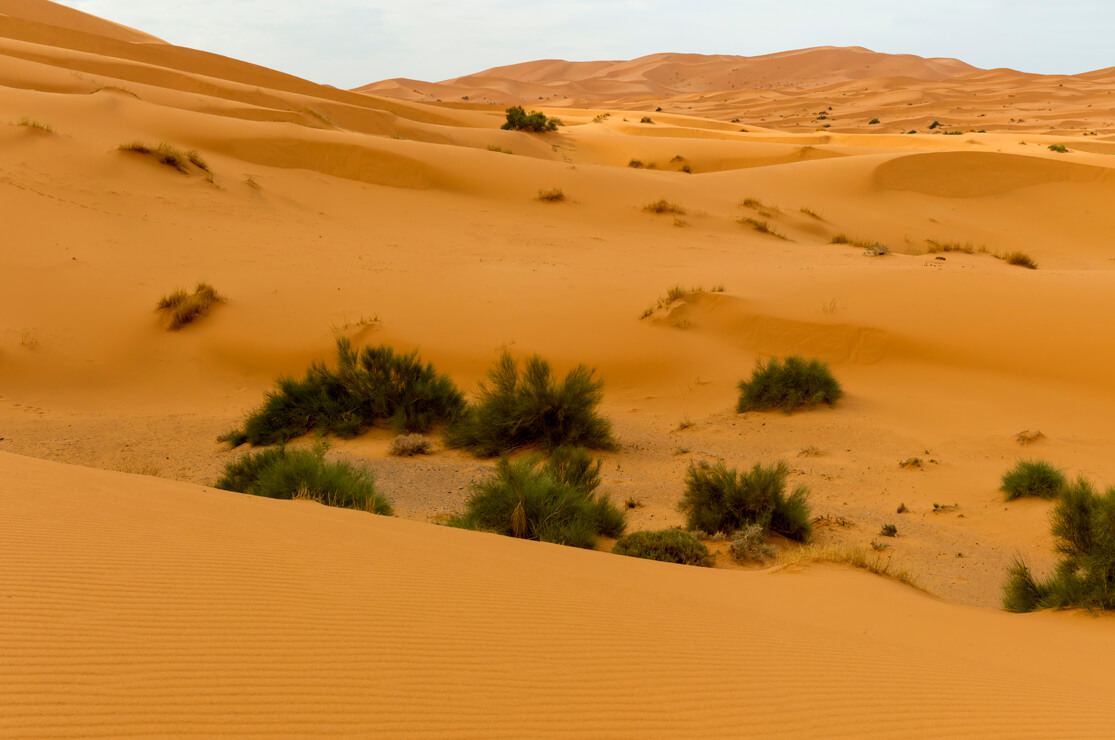 Erg Chebbi Dunes