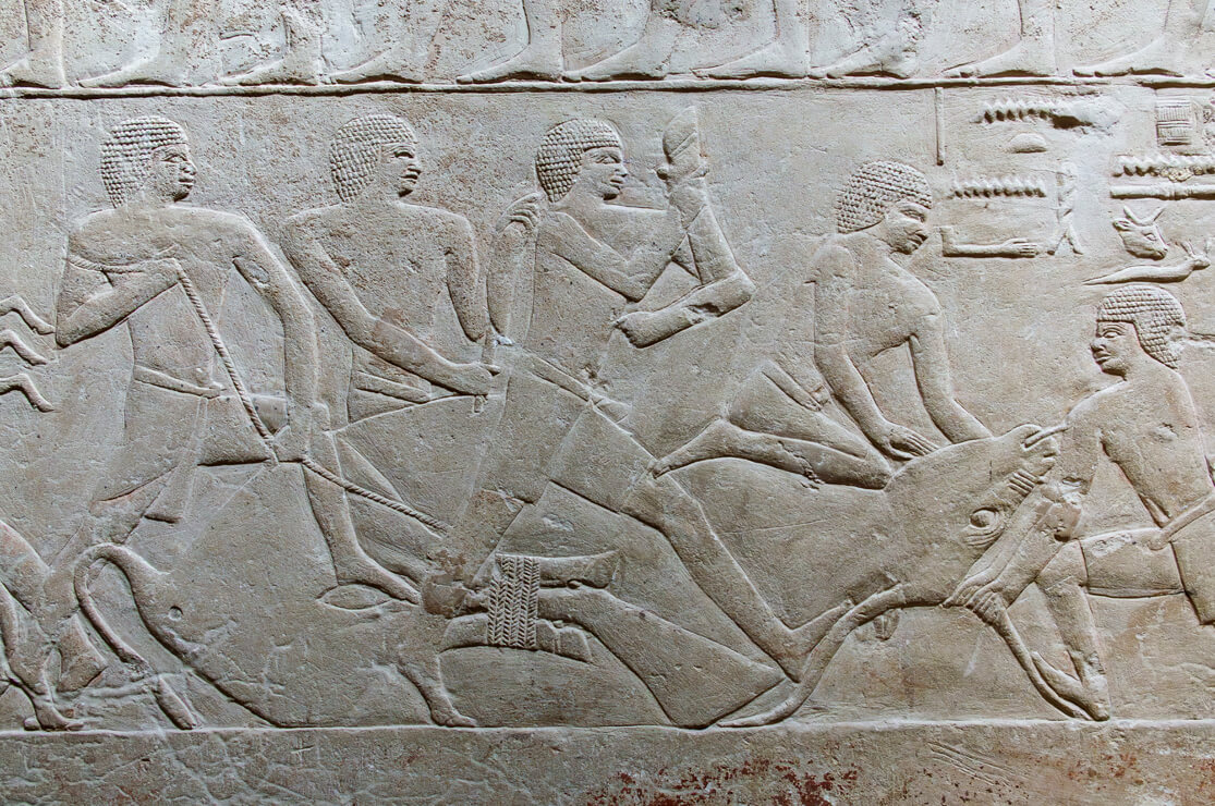 Tomb of Mereruka, Saqqara